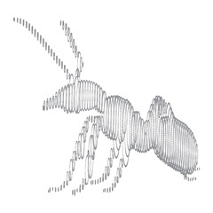 Ant of the particles. The ant consists of small circles