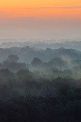Mystical view from top on forest under haze at early morning. Mist among layers from tree silhouettes in taiga under warm predawn sky. Morning atmospheric minimalistic landscape of majestic nature.
