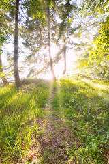 Scenic majestic landscapes and seascapes of Bowen Island near Vancouver in British Columbia Canada.  Perfect for framing in home and office decor or for use in social media or websites.  