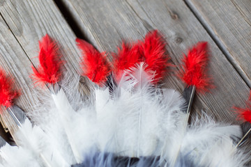 Multicolored feathers on wooden background. Tradition, culture. Headdress