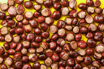 Pile of horse chestnuts scattered on yellow board, photo from above