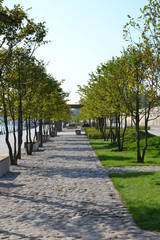Green plants, trees and flowers on the Vistulan Boulevards at the western side of the River Vistula in Warsaw, Poland