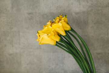 A bouquet of yellow callas close up