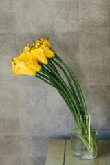 A bouquet of yellow callas close up