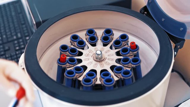 Female scientist loads some vials of liquid into a centrifuge in a laboratory. Close-up hands in protective gloves of a female placing blood samples in the special machine and switches it on.