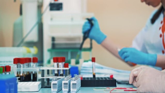 Medical workers put blood samples in tube onto a special rack in clinic. Women scientists in protective gloves are working in modern pharmaceutical laboratory.