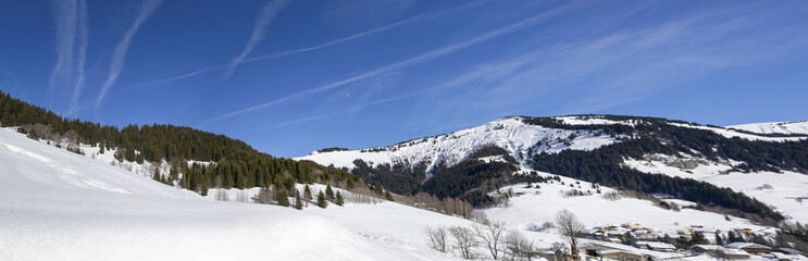 Fototapeta na wymiar Paysage de montagne dans les Alpes 