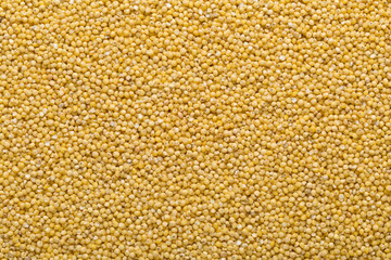 Golden millet, a gluten free grain seed, frame filling background