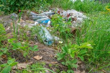 environmental disaster, garbage dump of plastic and glass utensils in a meadow of blooming wild strawberries