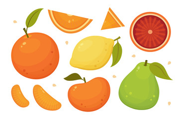 Citrus fruits slices, whole and halves. Orange, grapefruit, lemon, pomelo isolated vector icons. Tropical fruits set.