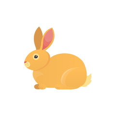 Cartoon rabbit vector isolated icon. Fine bunny pet.