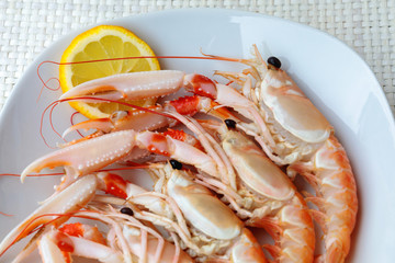 Raw scampi on the plate