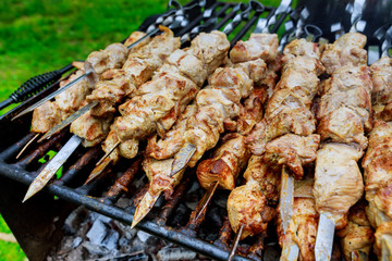 Barbecue skewers meat kebabs with grill