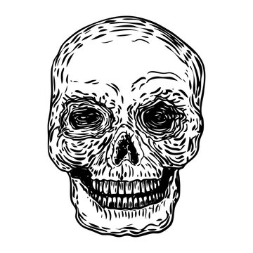Decorative human skull in different directions, hand drawn illustration. Stylized drawing of decorative witchcraft, voodoo magic attribute. Illustration for Halloween. Vector.