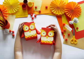 Obraz na płótnie Canvas A children's master class to pack a gift in a box an owl.