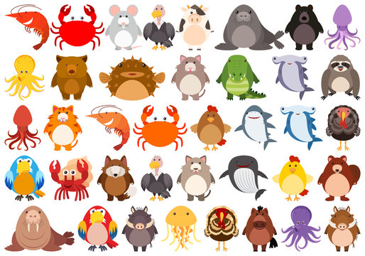 Set of cute animal character