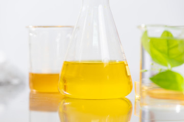 The scientist test the natural product extract, oil and biofuel solution, in the chemistry...