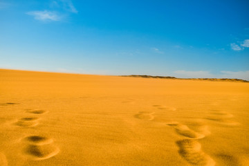 Desiertos