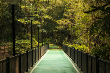 Empty Bicycle way for bike, green way, a path at the park