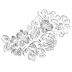 Vector hand drawn outline tropical leaves and flowers isolated on white background. Exotic botanical design elements for wedding invitation cards, cosmetics, spa, perfume, beauty salon