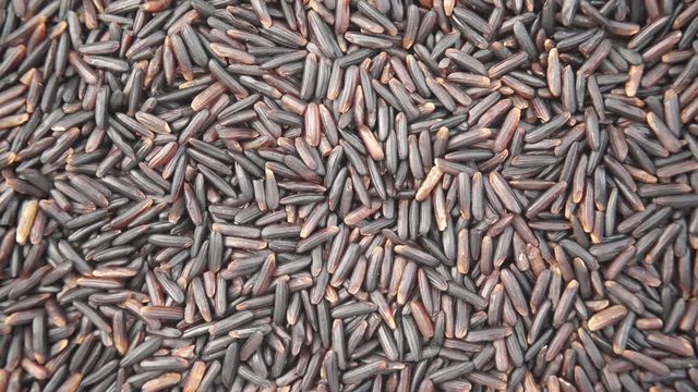 Black rice as natural food background. Top view. Healthy diet gluten free."