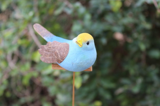 P&aacute;ssaro azul 