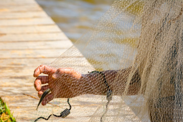 Hands which Collect Small Fish Captured by a Fishnet