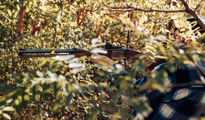 Bearded hunter man holding gun and walking in forest. Hunter with shotgun gun on hunt.
