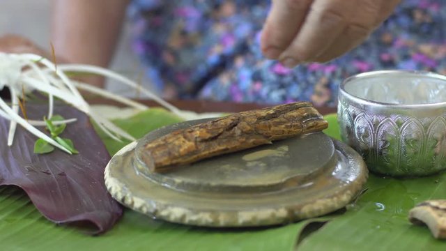 Thanaka herb bark scrubbing on kyauk pyin stone slab . thanaka is a popular cosmetic paste made from ground bark in Myanmar