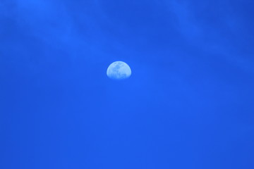 Lua © allen
