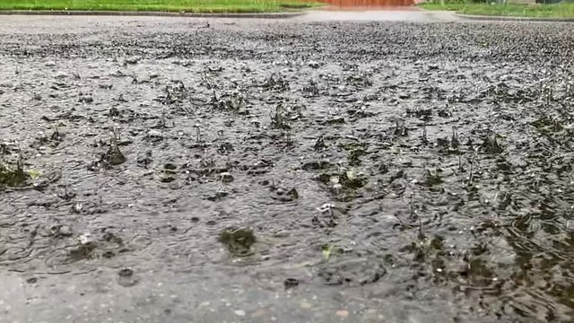 SloMo - Heavy Rain Splashing in Puddle