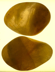 Quarts stones and pebbles polishes rocks