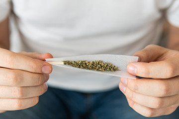 Man preparing and rolling marijuana cannabis joint. Man rolling a cannabis joint on white...