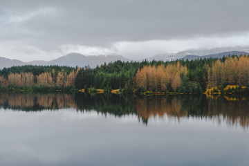 Fototapeta na wymiar Lake in the forest taken in Lagam dam, Scotland