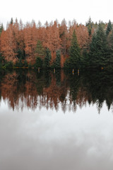 Lake in autumn