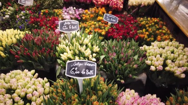 Fresh cut flowers at market in Paris France.