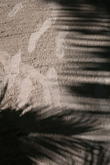 The footprints on the beach