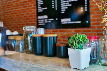 Cactus plant pots decorated in coffee shops