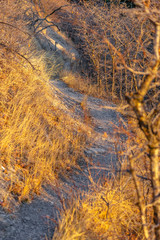 Close up of the narrow and curvy trail on a hill on a sunny day