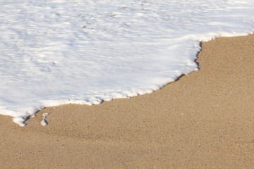 Fototapeta na wymiar foaming breaking wave and backwash foam on a sandy shoreline