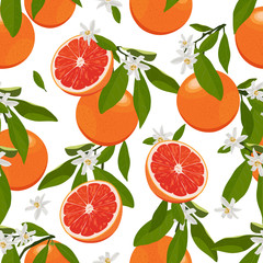 Seamless pattern orange fruits with flowers and leaves on white background. Grapefruit vector illustration.