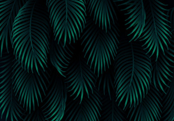Branch palm realistic. Leaves and branches of palm trees. Tropical leaf background. Green foliage, tropic leaves pattern. vector illustration