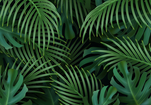 Branch palm realistic. Leaves and branches of palm trees. Tropical leaf background. Green foliage, tropic leaves pattern. vector illustration