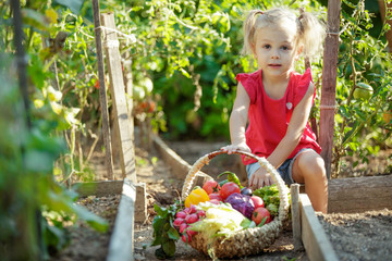 A child with vegetables in the garden 