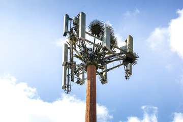 A cell tower disguised as a palm tree against a blue sky with some clouds