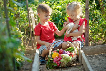 A child with vegetables in the garden 