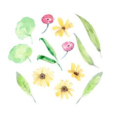 Watercolor collection of flowers and leaves. Light green
