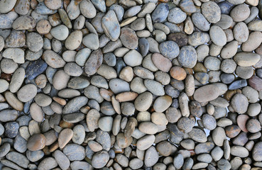 Pebble stone in water. Spa background concept.