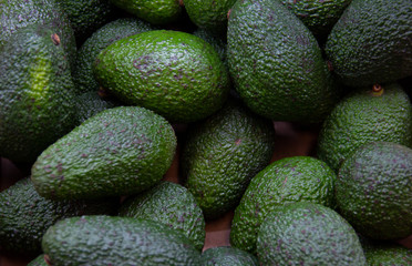 avocados in market