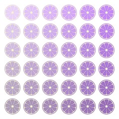 36 pale violet citrus isolates